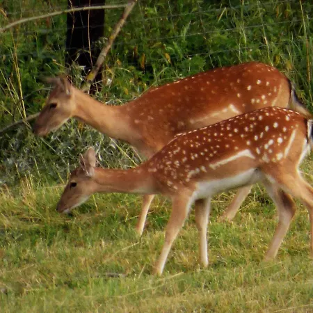 Rekreacne Zariadenie Chmelisko